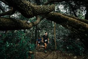 BIB: 
                            <button type="button" onclick="openModal(25665695)" class="btn btn-primary btn-sm float-right btn-popup" data-toggle="modal" data-target=".modal-high-quality">
                        <i class="fas fa-shopping-cart"></i> Add to Cart
                    </button>
                                            <button type="button" onclick="isThisMe(25665695, true)" class="btn btn-success btn-sm float-right btn-popup btn-isme hidden" data-toggle="tooltip" data-placement="bottom" title="นี่คือรูปของคุณใช่ไหม คลิกที่นี่เพื่อเอาเข้าอัลบั้ม">
                        <i class="fas fa-plus"></i> Add to album
                    </button>
                    <button type="button" onclick="isThisMe(25665695, false)" class="btn btn-warning btn-sm float-right btn-popup btn-isnotme hidden">
                        <i class="fas fa-ban"></i> Remove from album
                    </button>